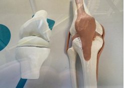 t(y)3Dӡ84q˷ϥP(ji)