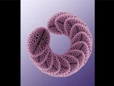 ӢоˆT״ֲаlFϡеV--ʯ