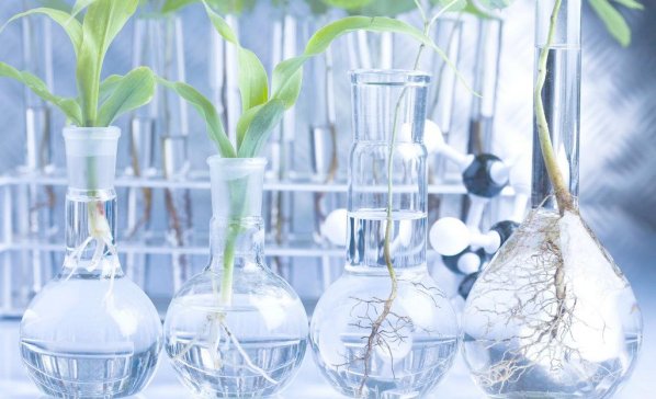 ҇(gu)MMAˇʬF(xin)ԪM(jn)ИI(y)l(f)չs