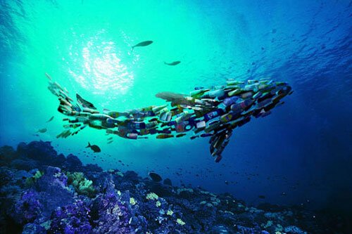 ˹ϡ˼(chung)Ⱦ^(lin)ϳȫ(lin) KY(ji)