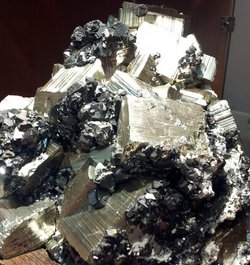 ȫC⁴FVCØ(bio)ίĴ