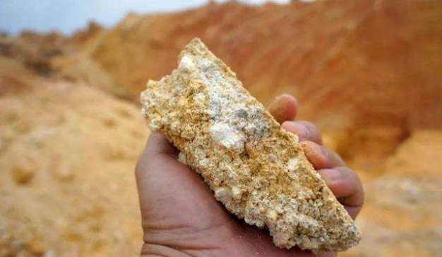 Aϡ(xing)Ŀϡ(ch)10f΂(g)V^(q)