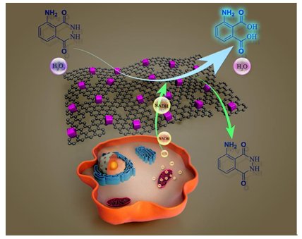 бPc(din)|ʯīϩǰؾCx