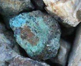 ⒃r(ji)⒘I(y)^ϰ(rn)sˮ