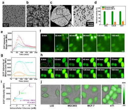 ^̹аl{΢w FøӰȸЧf͡߻͙zy
