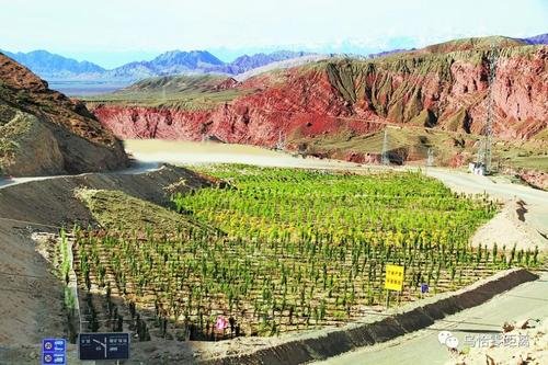 ɽȻYYԴֳm(x)M(jn)GɫVɽO(sh)