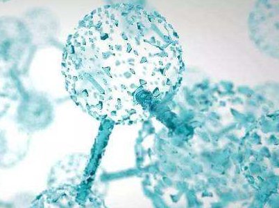 ИIxحʯīϩĶԡȫодӏ