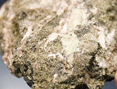 ^ϡоԺMݵڶϡH(bio)(zhn)