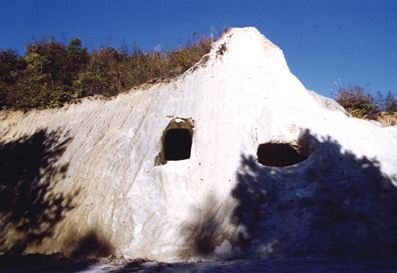 ҇(gu)ߎXИI(y)Ĵl(f)չڅ(sh)