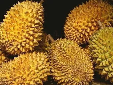 ϱDfٹɏˣд;ƌWңɏ늳