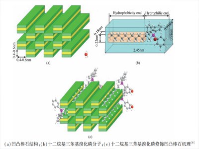 δڣ͹ʯ(yng)ðl(f)չ(dng)r(sh)