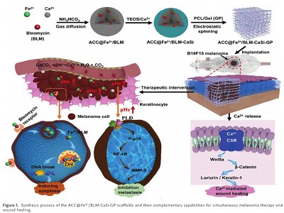 ؑcW_ҽڡпƴԺʿAFM̼}ϵ֧gMޏ