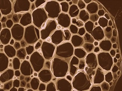 댍F΢Yؓ׃QλЇWԔ⡰ħ