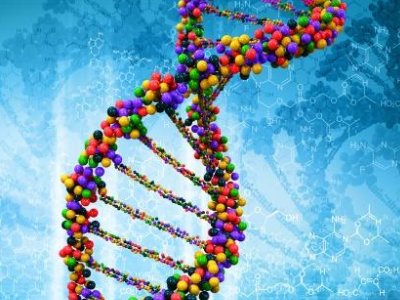 ʯˎһL3 ُlˎIM̼}ԭˎI