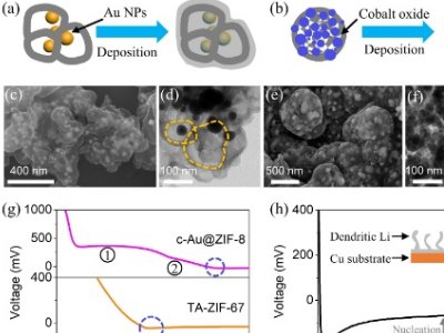 Ϻ}䇽늳ؓOMOFͿӼ僂|(zh)ģʽоȡϵMչ