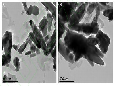 |̼}񷨳ĥɢЧоcaƷIİlչr