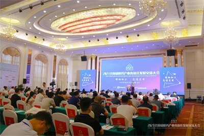 DAY2yֹM(jn) ƵZǰ! 2021ȫ̼}a(chn)I(y)ֵl(f)չ(hu)AMĻ!