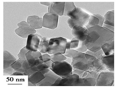 gоح̼}ֵҪβܡ󡱵ǡ̎