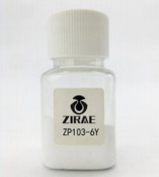 Ͼ²ϯ2021մɼgcaI߷Փ