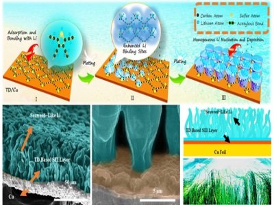 uԴ_lTeƂ䱡ӟo֦ؓO·