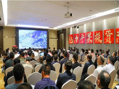 2021ߌÇH̼}a(chn)I(y)[(c)ӛƽ̼}ƽ֮ fcҊ