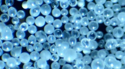 մɿ΢򹩑(yng)̣ĴFƼvͨ