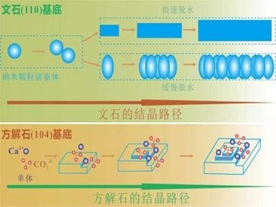 ʮ塱ԭϹI(y)l(f)չҎ(gu)l(f)̼}ӡǽٷwϰl(f)չ@3Ng(sh)