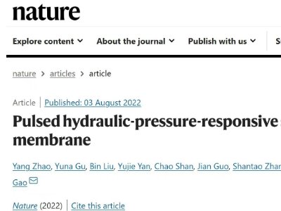 ϾW߹ڵn}M Nature坍մɞVĤ