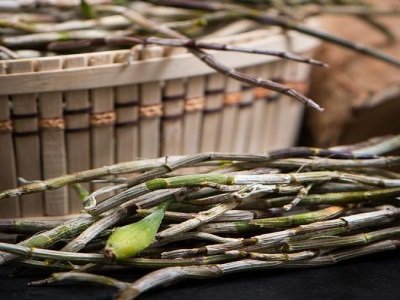 ˎĺãˎźãɫxCˎġ|T