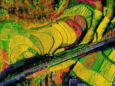 ǽٵVИI(y)GɫѣVa(chn)YԴጷʲô̖(ho)?