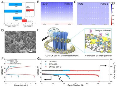 ִW(xu)COF̑B(ti)늽|(zh)̑B(ti)늳ؼg(sh)