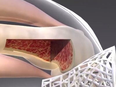 ɲTtòτ¾۽߷ӲٲoCǽٲc