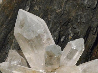 ʲôf߼ʯӢǑ(zhn)da(chn)I(y)Ҫ֧βϣ