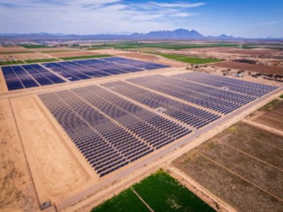 Tlֹ֧aIlչ ӏõر