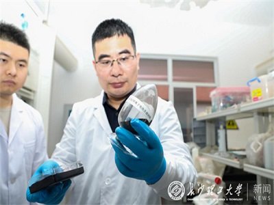 LɳWЈFꠌUfrࡰ׃늳ؓO