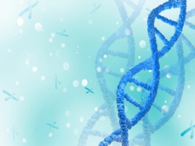 ˎIYKYY017F넩@FDARԇʣаlȫ²