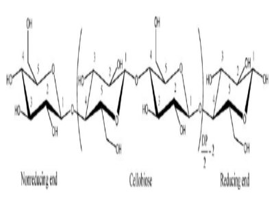 ɱYԴSwSڹ̑B늽|Л]δ