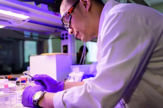 A䇻ͻƣ¹ˇʹ늳؉L44%