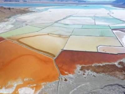 صVI(y)ʾ2025o䇾VLU !˾ʿʾ䇾VN~Ӱ푲