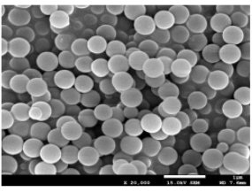 ι΢۹̣Kx~wƼ޹˾vͨ