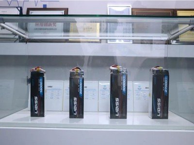 l{Դ2027ҌFȫ̑B늳a