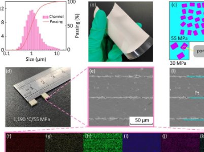 IWڈFꠣؽ늷ԵMLCCMչ