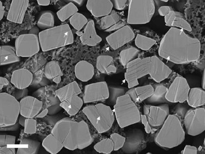 һȫ̑B(ti)늳Oϵx(hu)᣿