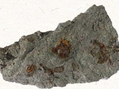 䆡@NԵVaɲރH1꣬90%