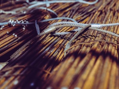 2016²ИI幫˾F~Top50