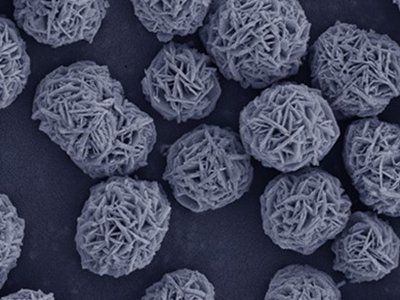 ҡ(gu)a(chn)÷۲ġ֮ЂɷԪǰ(q)w