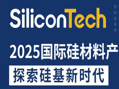 SiliconTech2025HϮaI(y)չ[