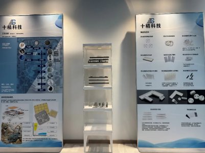 ʮƼ@ǧfԪʹ݆YƄӾմɇa(chn)l(f)չ