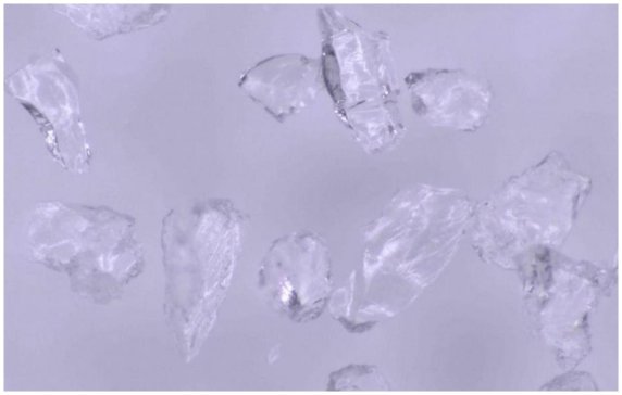 댧wI(y)l(f)_ƺϳʯӢa(chn)I(y)i