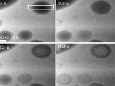 ԺʿI(lng)㕣ʾˮϟo̼}wD(zhun)¼g(sh)